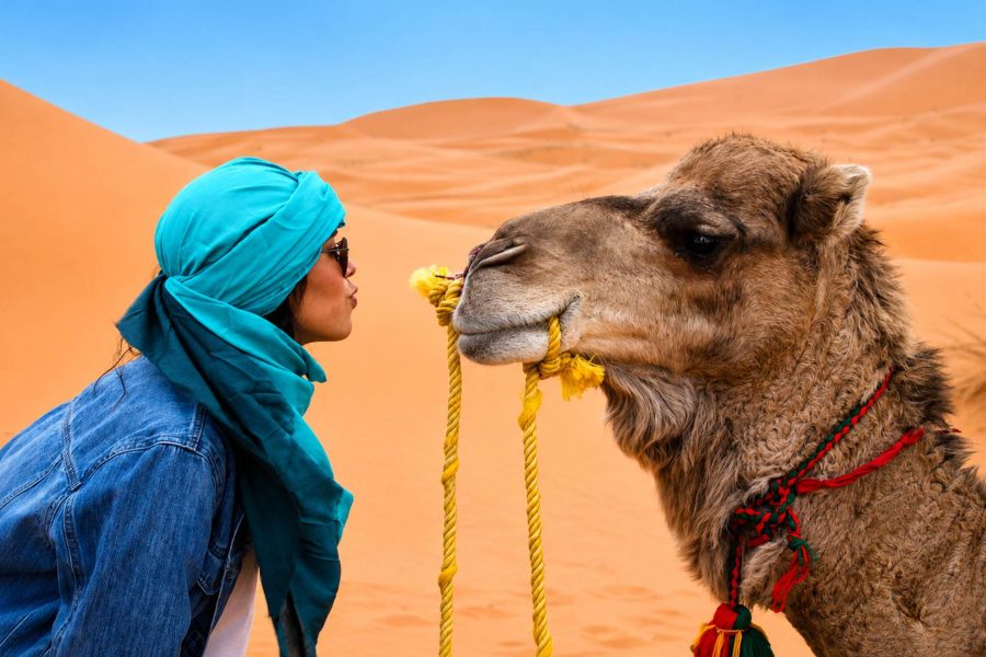 Marruecos: Marrakech, Alto Atlas y Desierto – 7 días · imagen del recorrido