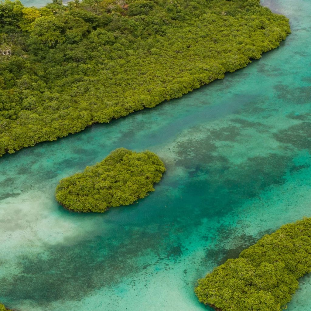 Caribe panameño: Venas Azules y Playa Blanca — imagen 1